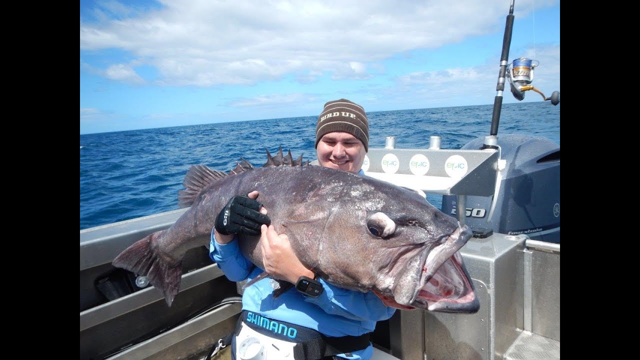 Epic Hapuka Fishing with Epic Adventures