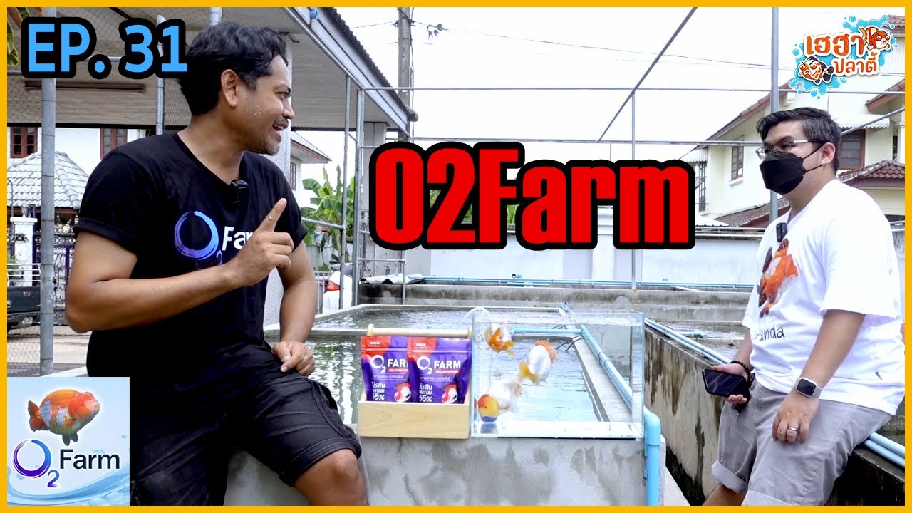 O2Farm (โอทูฟาร์ม) ฟาร์มปลาทองสิงห์คุณภาพของคนกรุงเทพ | EP.31 | 11 ก.ย. 65