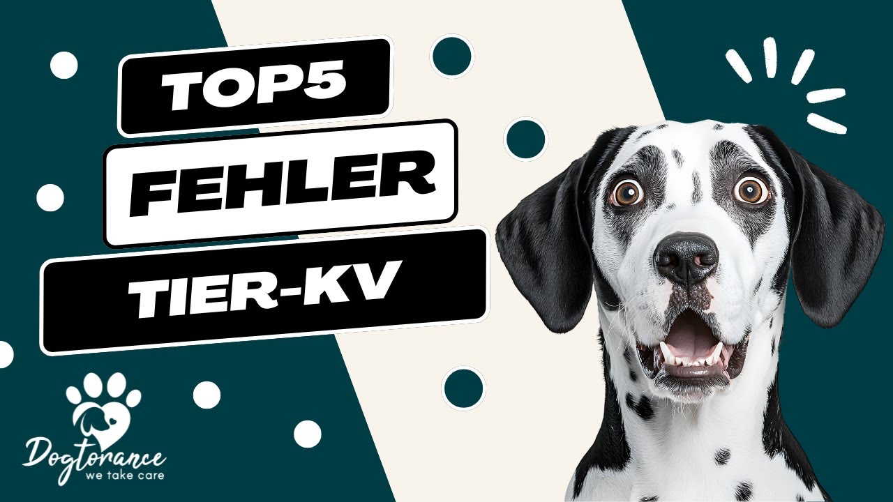 Die 5 größten Fehler bei Tierkrankenversicherungen – Vermeide teure Fallen!