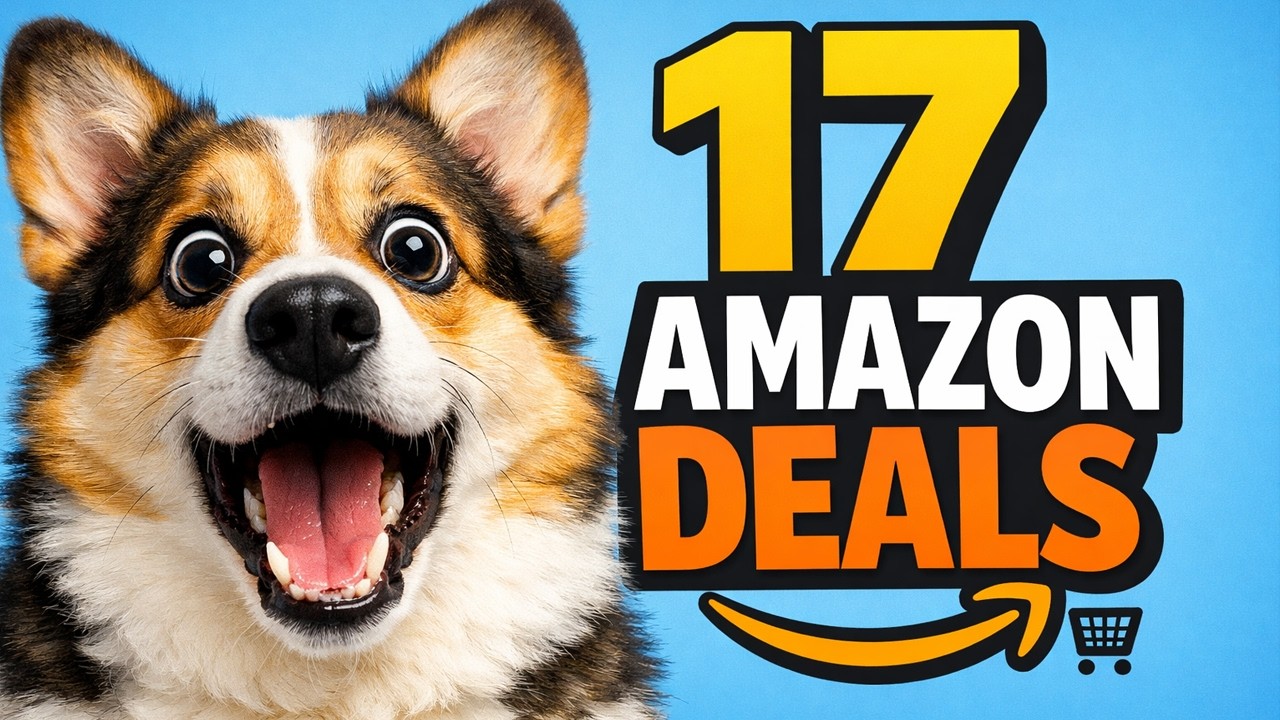 17 выгодных предложений Amazon для владельцев собак #amazonfinds #deals