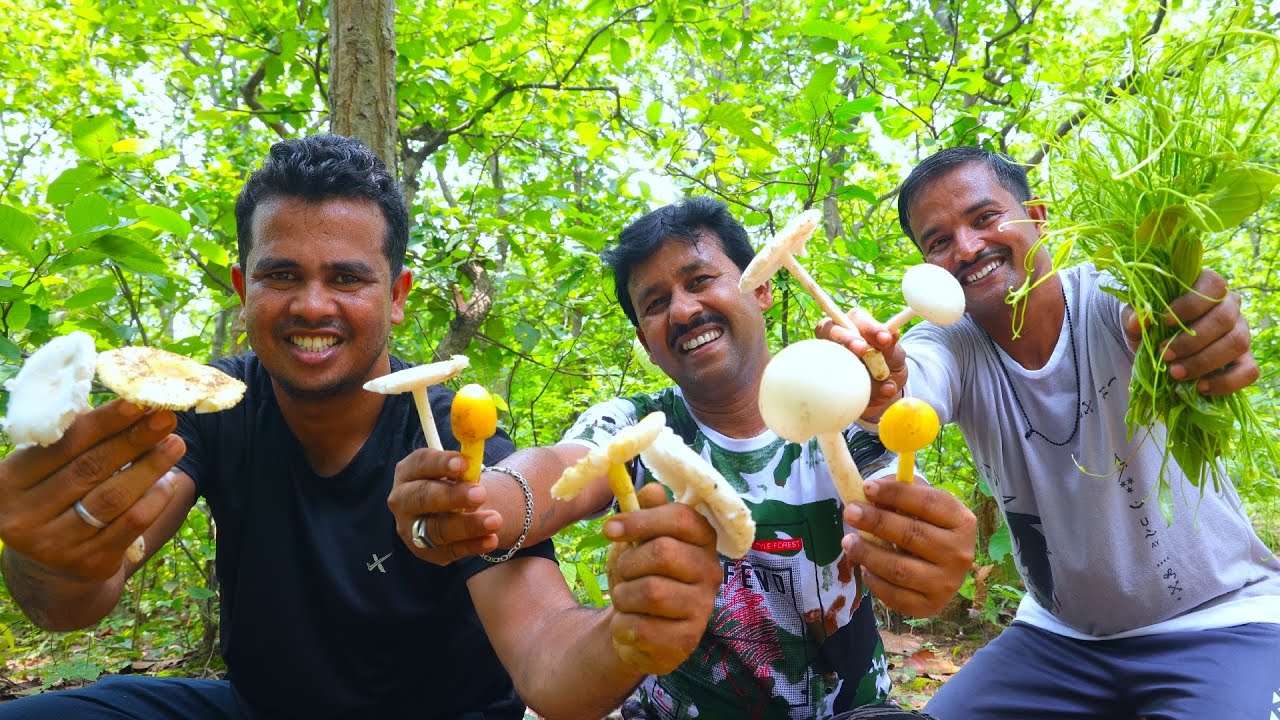 Jangal fresh natural edible mushroom picking and cooking | village cooking vlog
