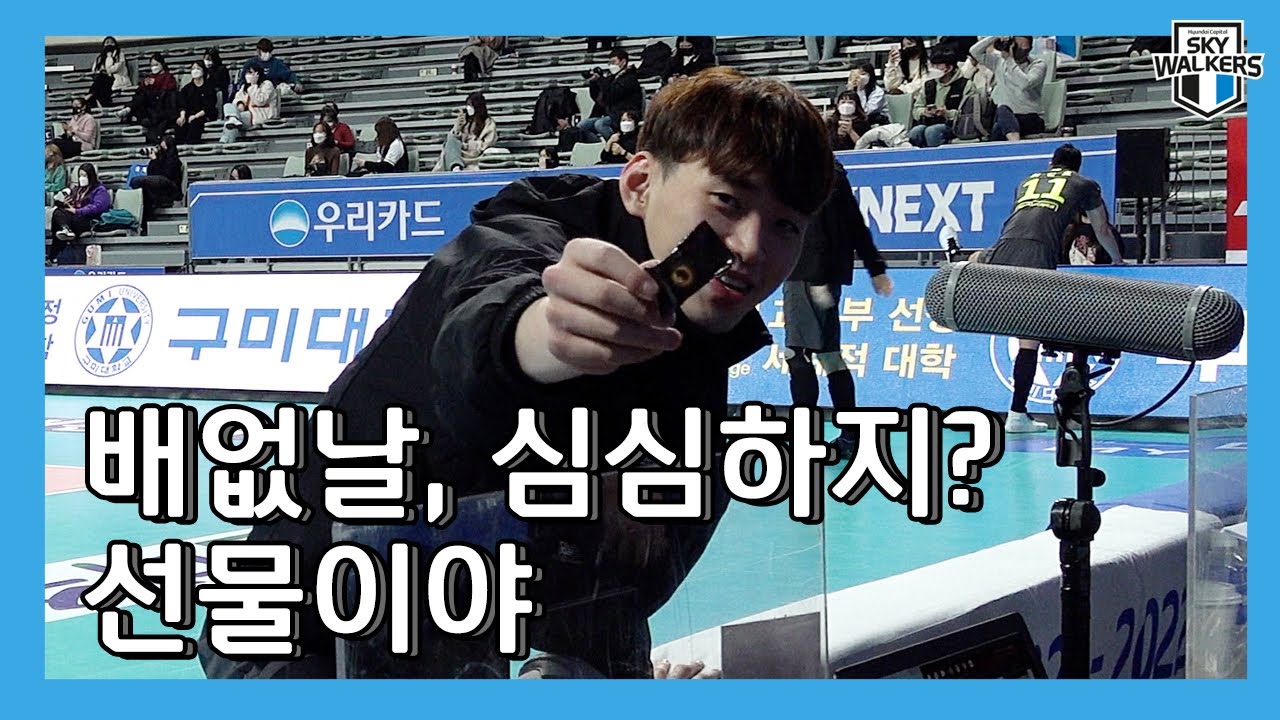 [현대캐피탈] 배없날이 너무 길어😔 | 🖥하드나 털어볼까? | 🎥현티비 하드털기