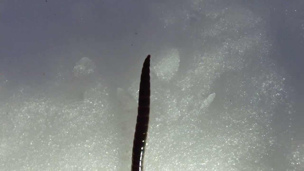 DJI 0079 merged 1769286942623