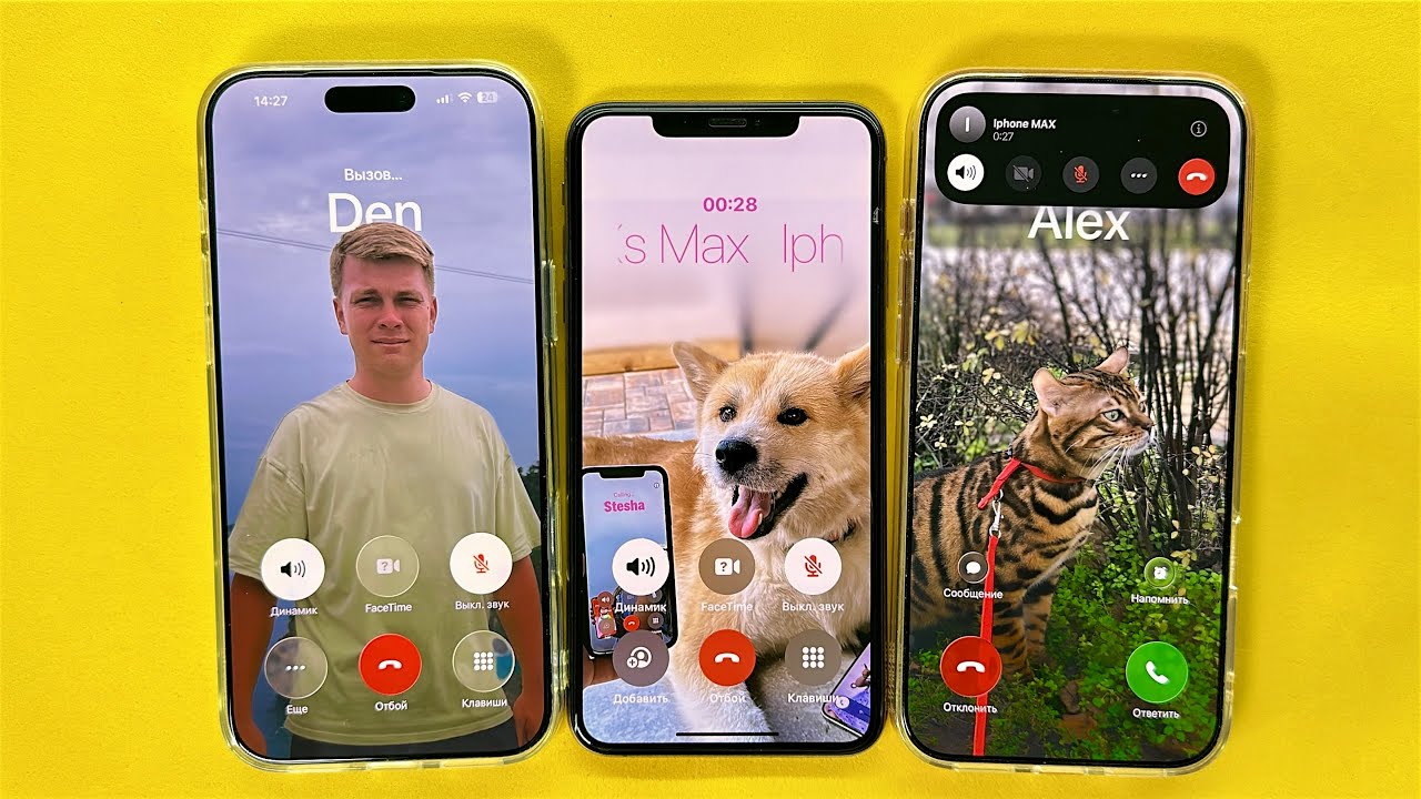 Incoming Call From Dad, Cat, Dog iPhone xs, iPhone 17 pro max two