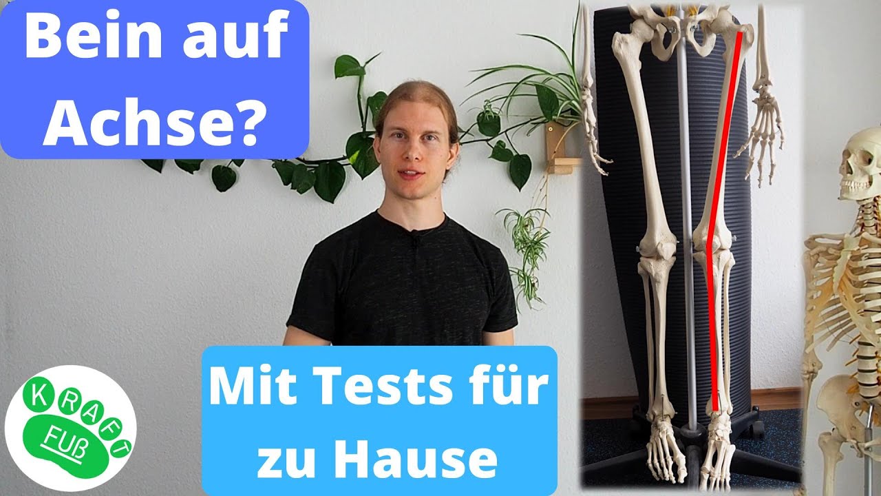 Die Beinachse kurz erklärt - Wissen für Gesundheit, Sport und Therapie