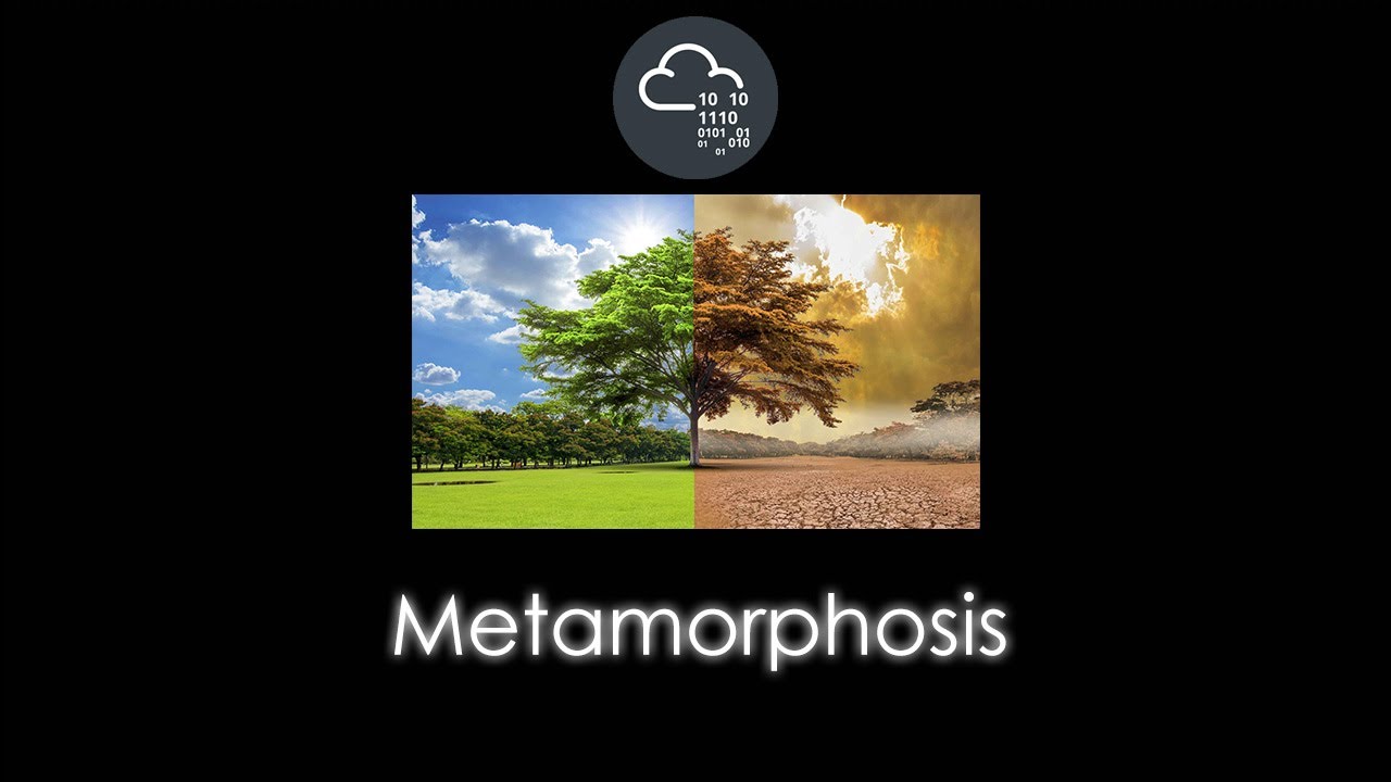 TryHackMe | Metamorphosis Room Walkthrough