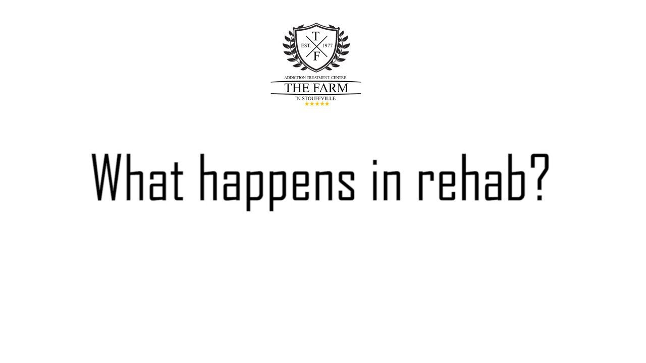 What happens in Rehab?