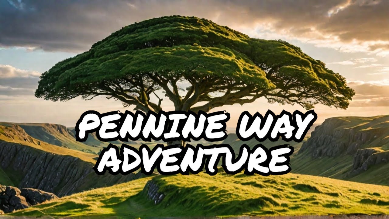 Hiking Hadrian's Wall To Sycamore Gap: Exploring The Pennine Way