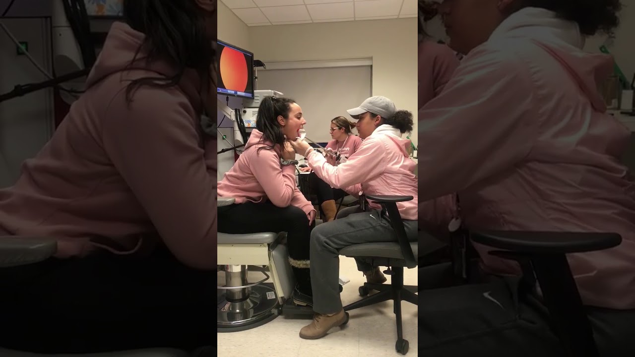 Rigid Endoscopy: Larynx Visualization Demo