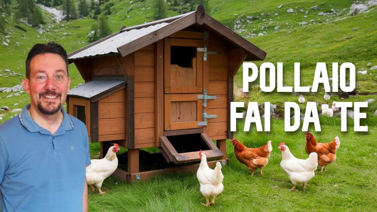 Come ho costruito il mio pollaio fai da te per galline felici