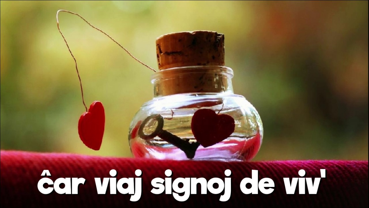 Signoj de viv' - Inicialoj dc (Esperanto music)