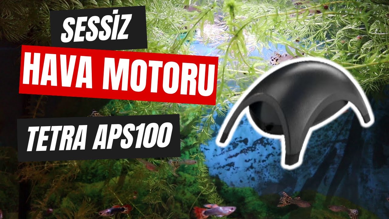 Sessiz Hava Motoru Tetra APS100'ü Denedik | Gerçekten Sessiz mi?