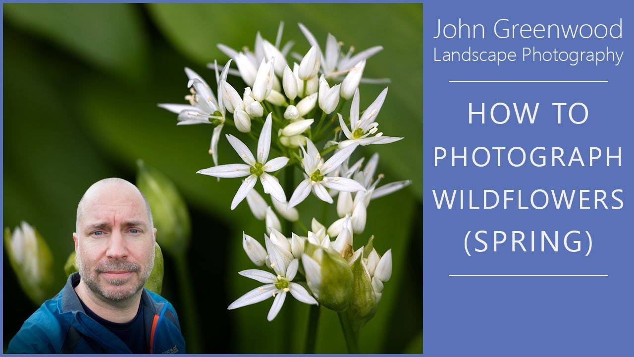 How to photograph Wildflowers | Flower Photography