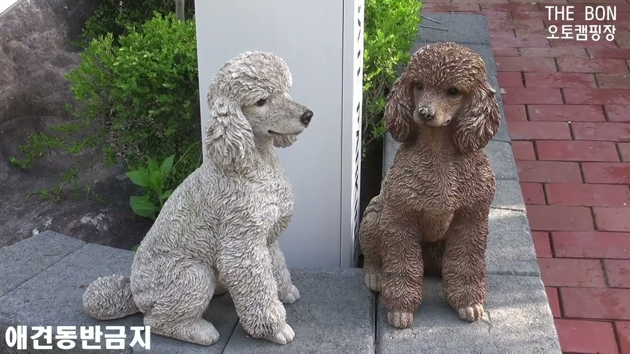 더본캠핑장4계절(봄.여름.가을.겨울)