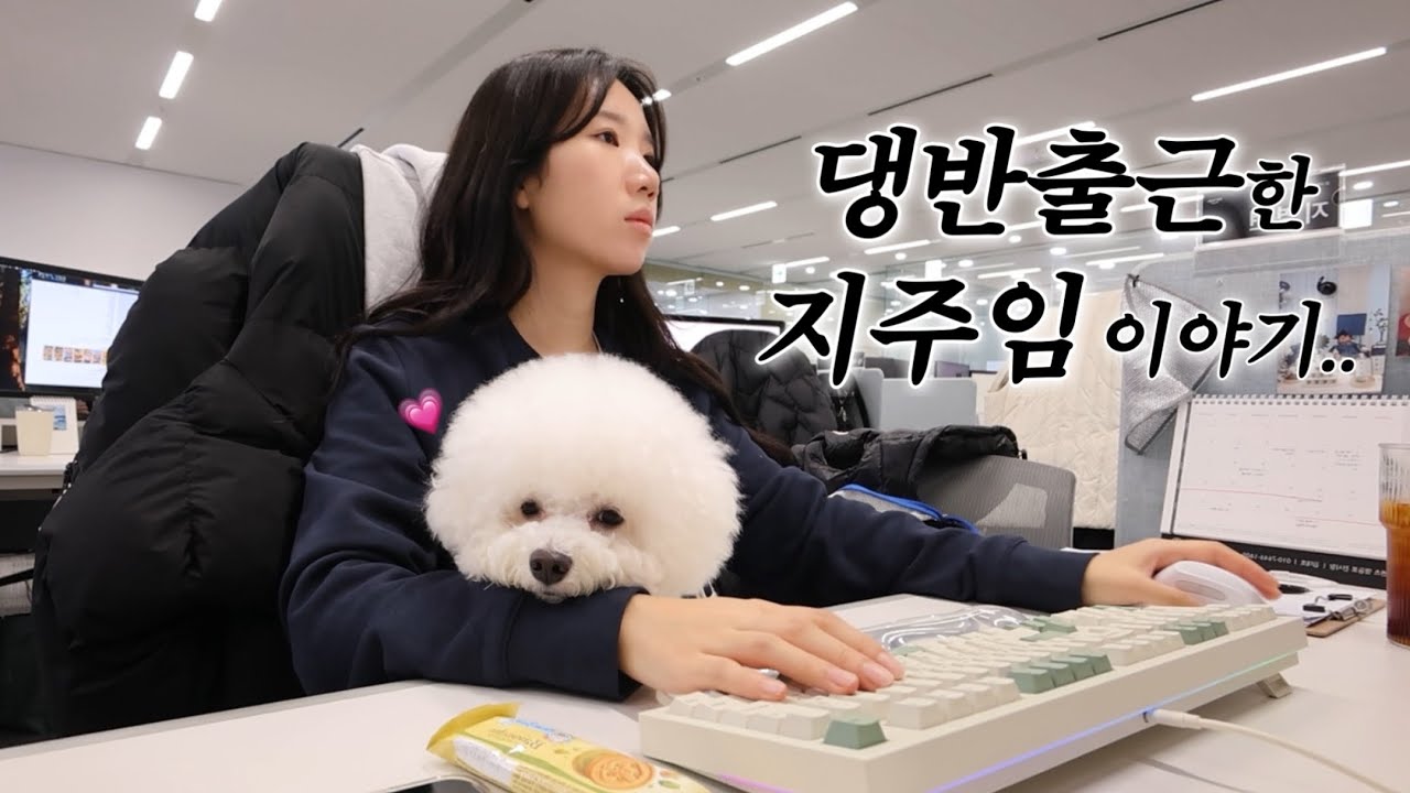 [직장인VLOG] 주 5일 8시간 버티는 쇼🎪에 출연 중인 지주임 브이로그 | 밥사원 첫 출근🐶 | 다이어트 해야되는(?) 직장인 도시락 | 출근룩 OOTD