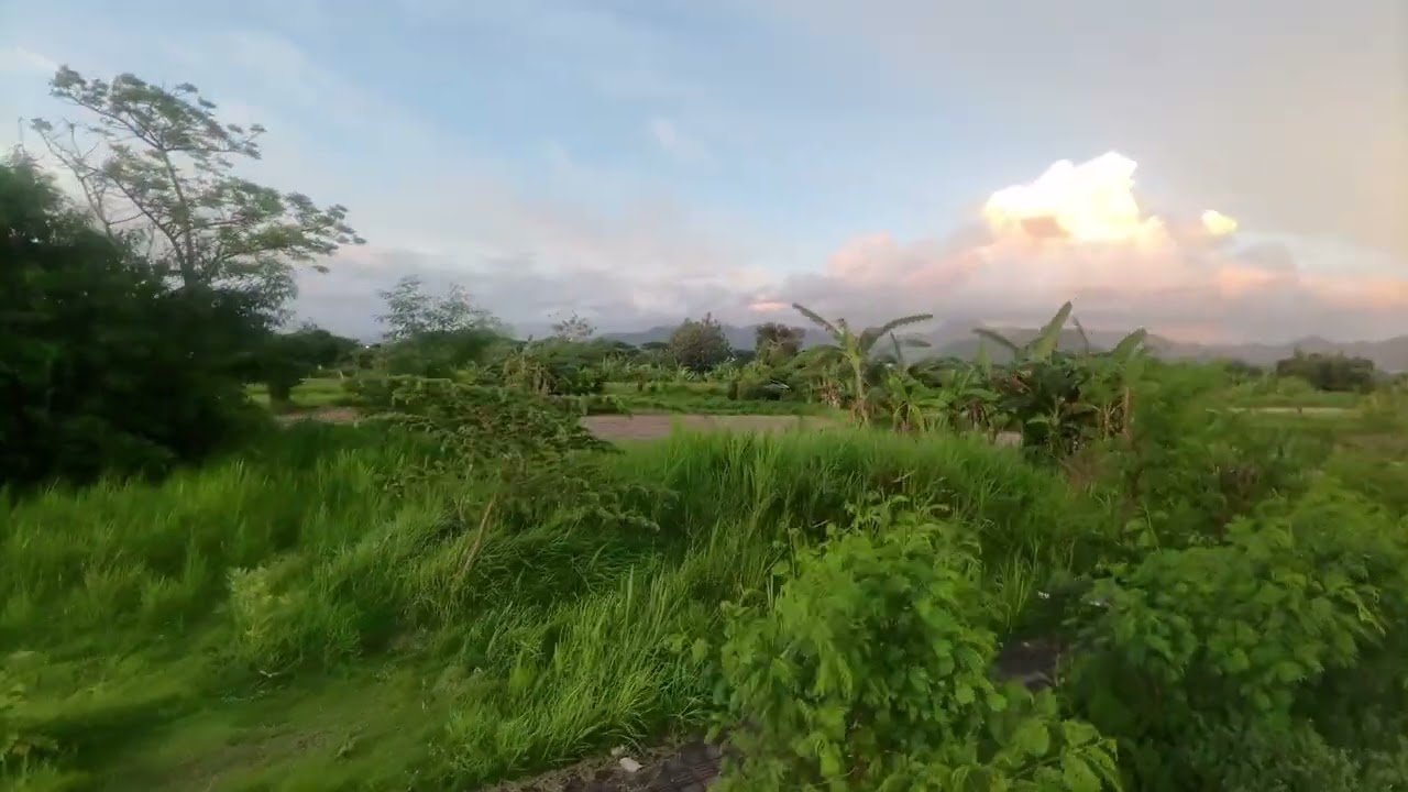 nganggur di sisin jalan namping uma  ||  fpv enthusiast  🚫osd