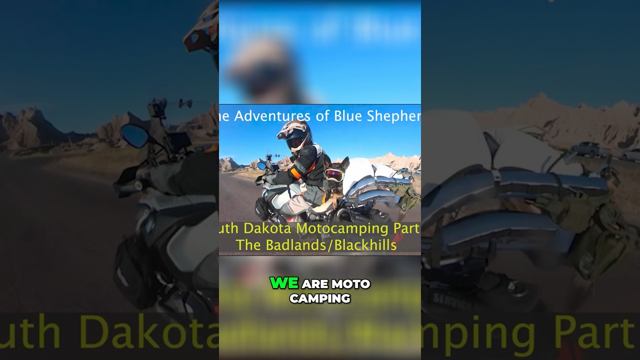 Motorcycle Dog Adventure: Badlands & Black Hills BDRX