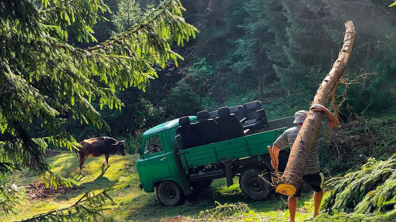 Early Mornings and Rustic Living! A Carpathian Family Day