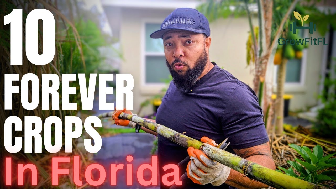 Forever Crops: 10 многолетних растений для выращивания