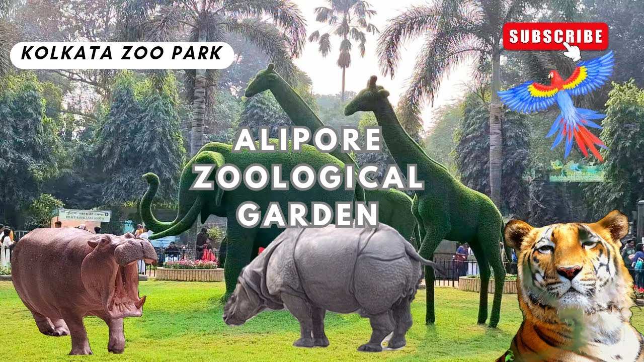 Zoological garden kolkata celebrating 150 years চিড়িয়াখানা #zoo #animals #travel #nature
