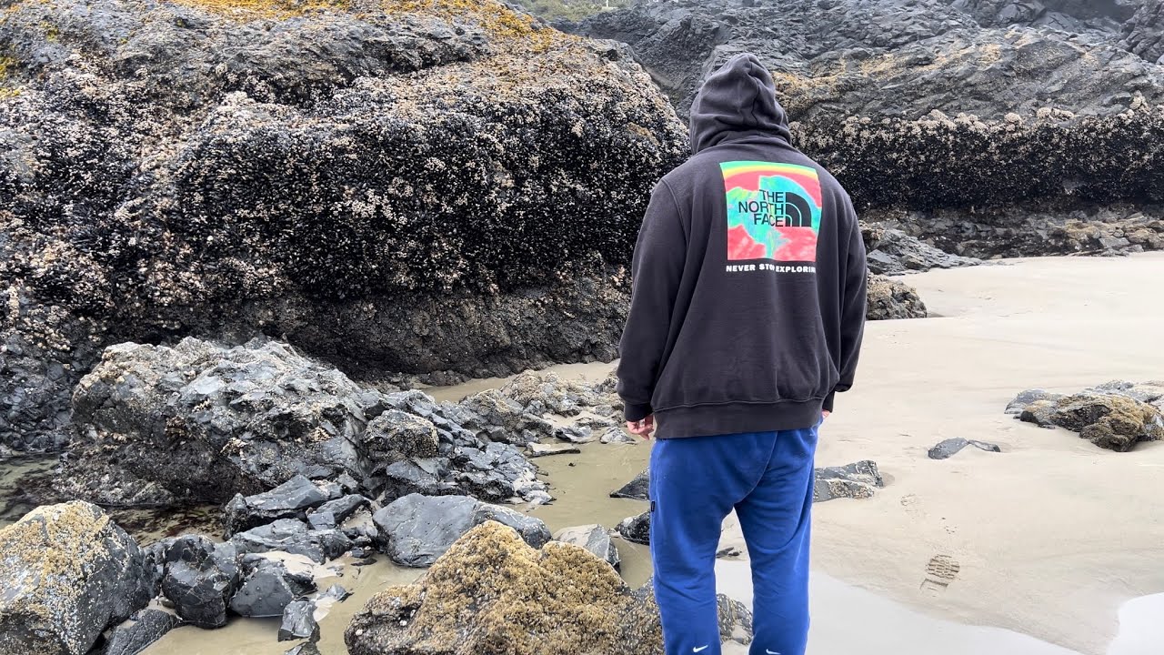You Won&rsquo;t Believe All the Gooseneck Barnacles | Mussels | Starfish on These Rocks!