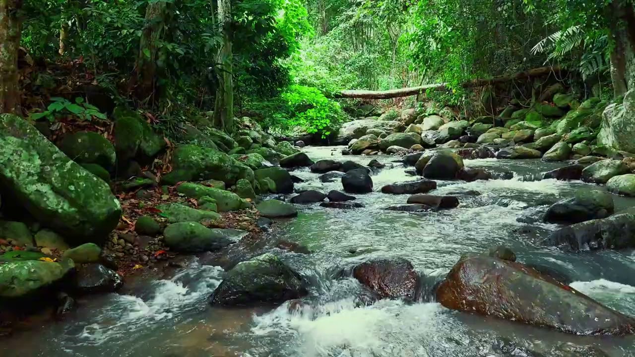 Peaceful Flowing Forest River 🌿 Natural Water Sounds for Better Sleep