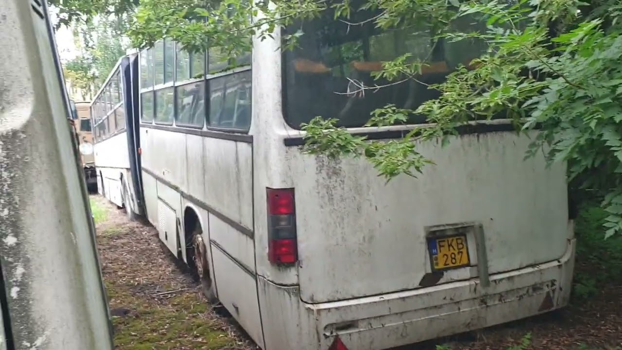 Ikarus temetőre bukkantam vidéken! 2023.08.18