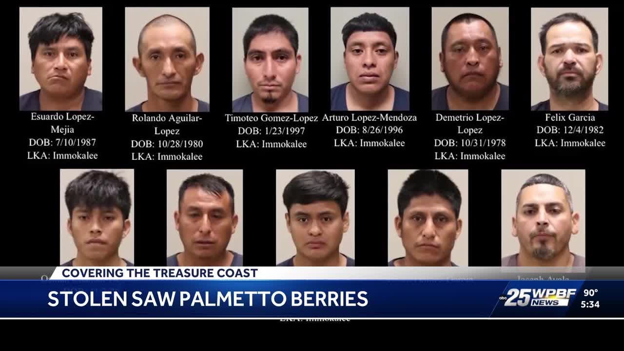Group charged with stealing 6,000 pounds of saw palmetto berries near Palm City