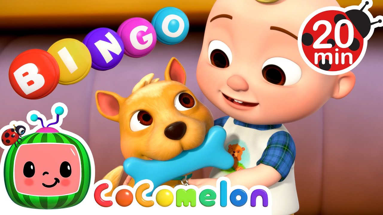 Bingo’s Day at the Pet Store! 🐾🐶 | 🍉 CoComelon - JJ's Baby Songs 🎶