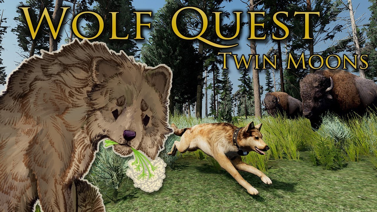 Bowing Before Brutal BISON?! 🐺 WOLF QUEST: TWIN MOONS • #59