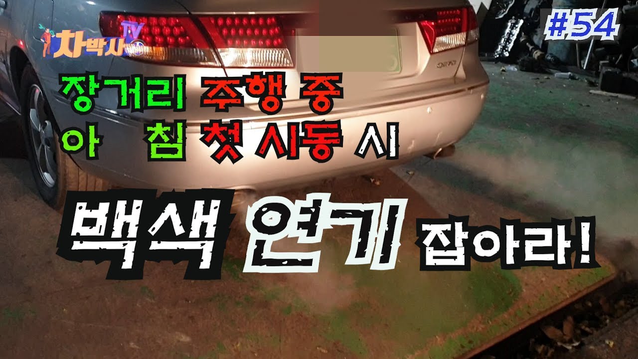 차박사TV_54회 아침 첫 시동, 장거리 주행 중, 백색연기 잡는 방법! How to solve white smoke at startup.