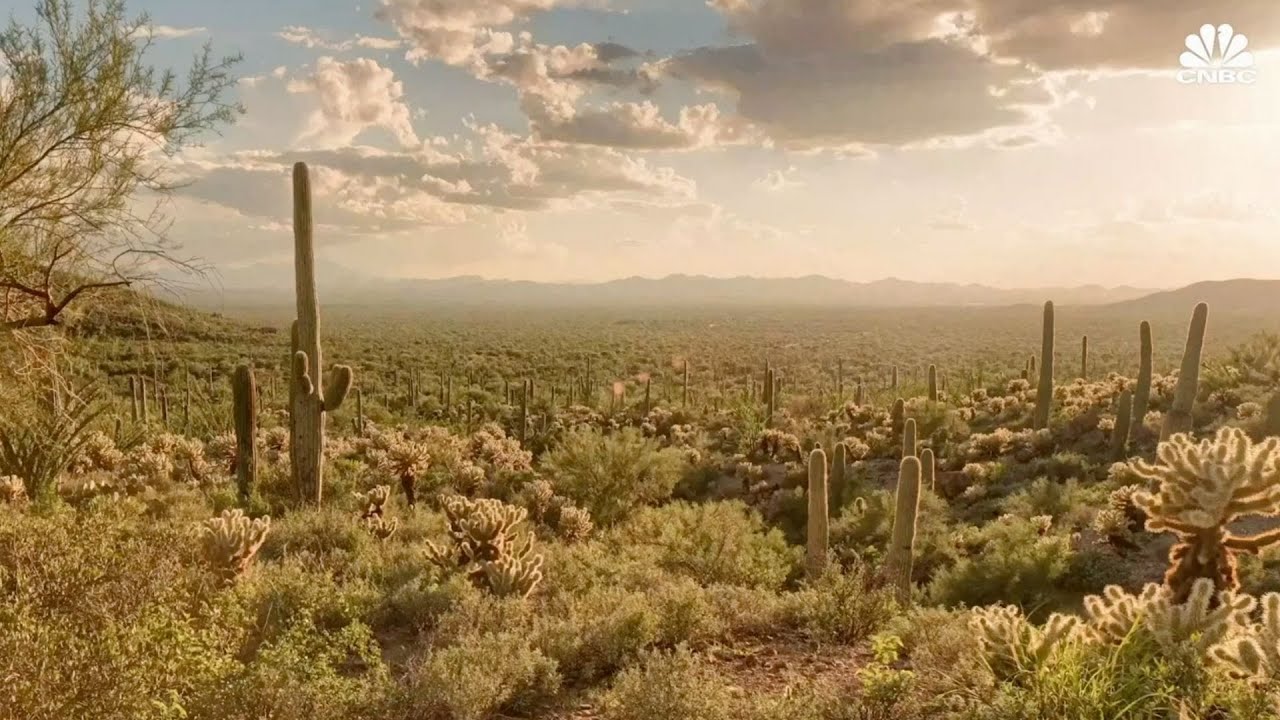 CNBC Highlights The Rise Of Arizona's Economy