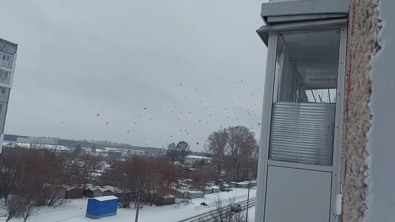 Вид из окна квартиры. Пнорама на город Кемерово.