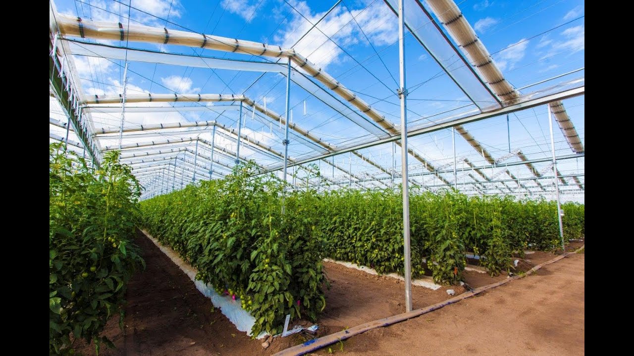 Introduction to the Retractable Roof Production System