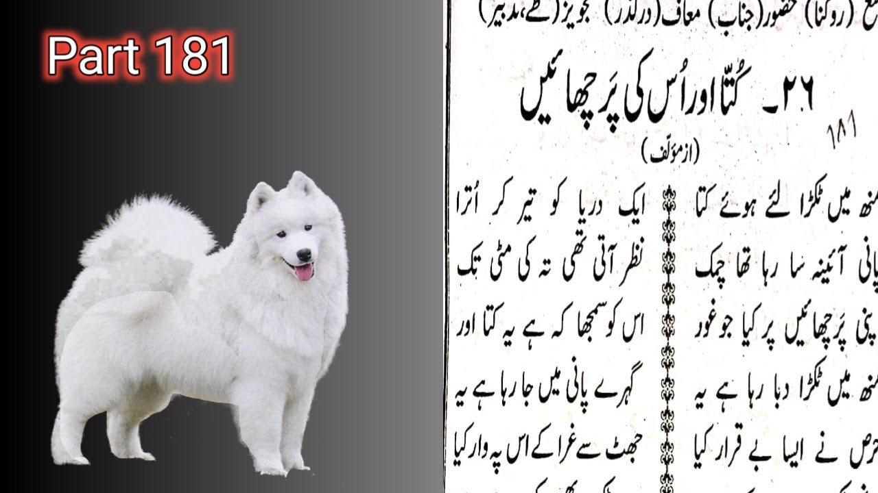 Kutta Aur Uski Parchayen  Sabaq No 26  Part 181 | Urdu Zaban Ki Dusri kitab | उर्दु पढ़ना सीखें
