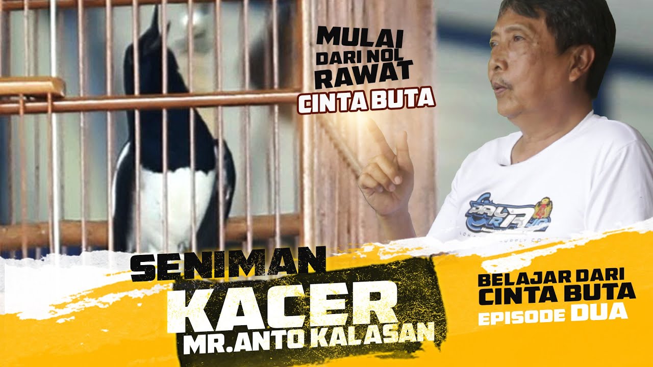 ANTO KALASAN😉Mulai Dari Nol Merawat KACER CINTA BUTA | Episode 2