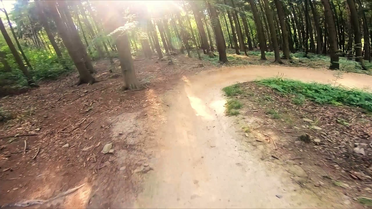 Elstra | Black Mountain Bikepark