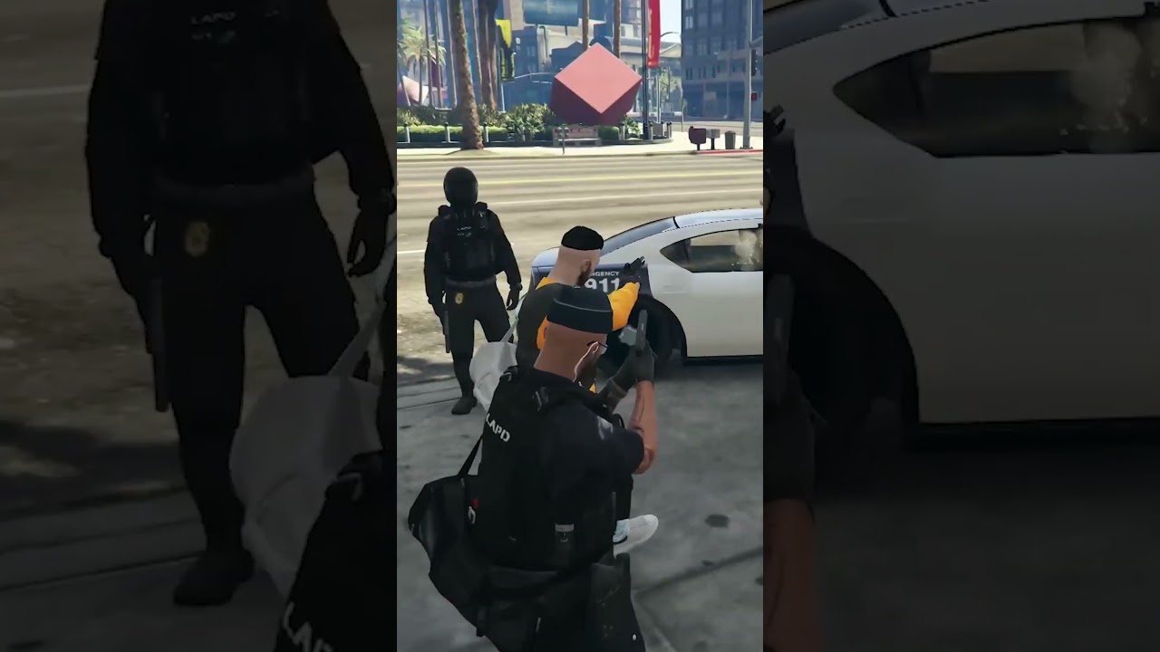 Il aime pas la police 🤷&zwj;♂️ | Unity RP 🐬