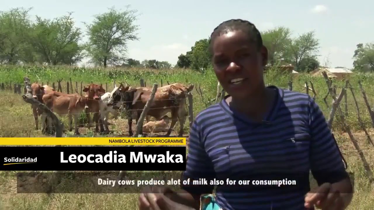 Nambola Livestock Programme, Zambia