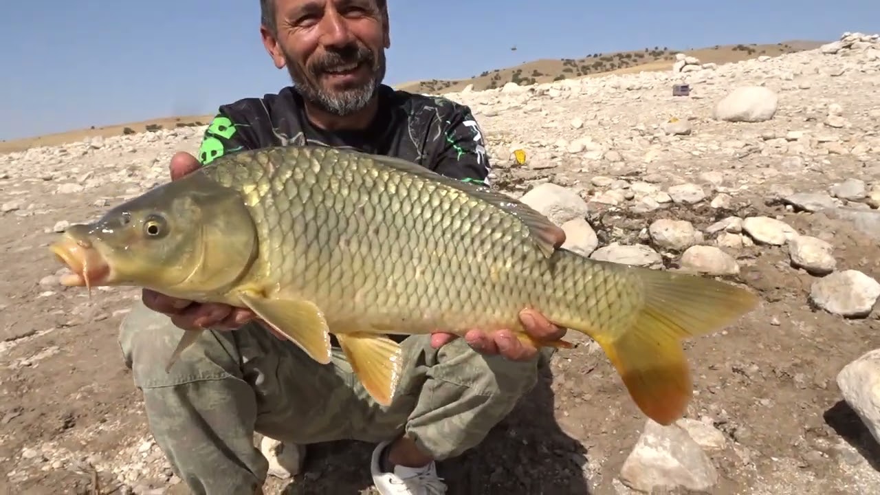Sazan Sürüsü Girdi Efsane Sazan Vuruşları Carp Fishing Shadow Mountain Lake, Colorado 1.Bölüm Part-2