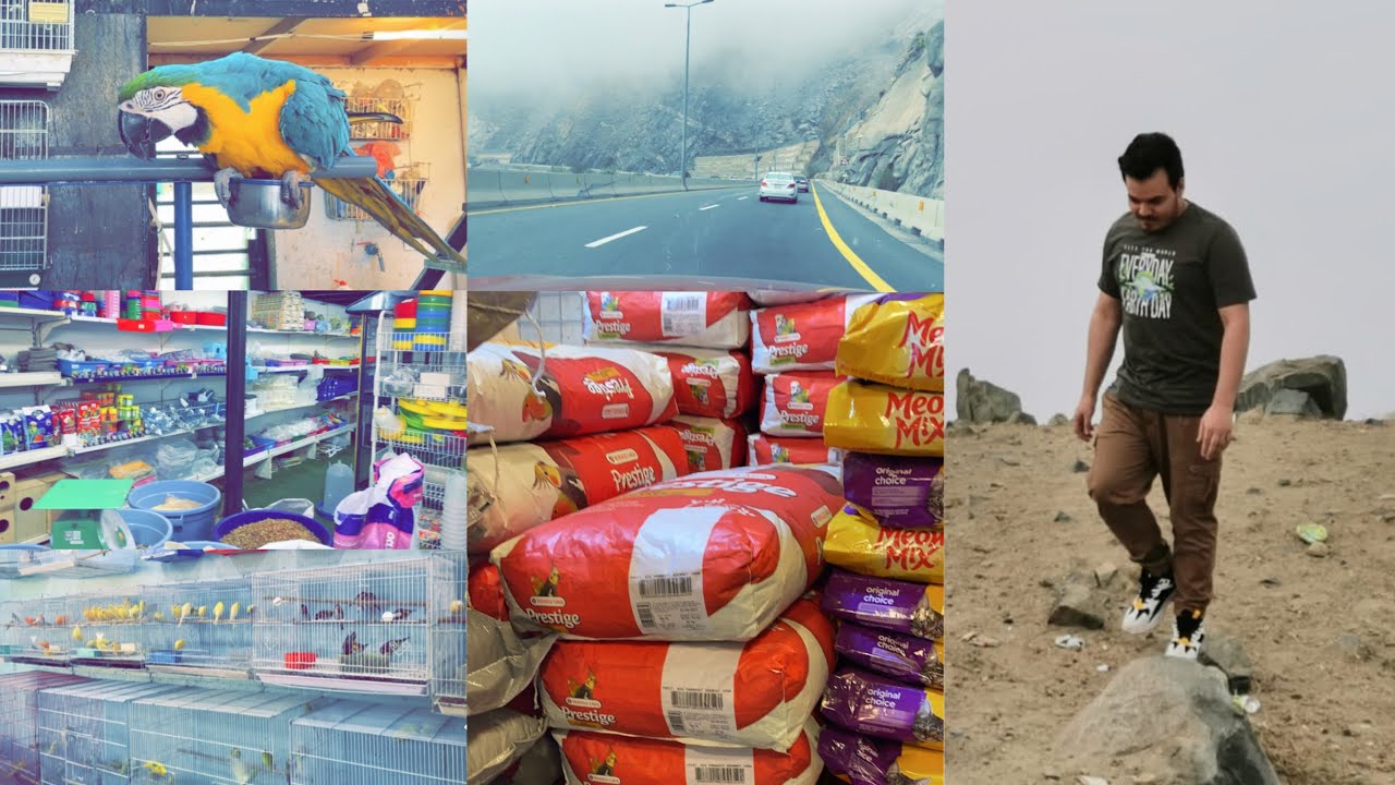 ⛰ سوق المزغديه للطيور | زيارتي لمدينة الطائف