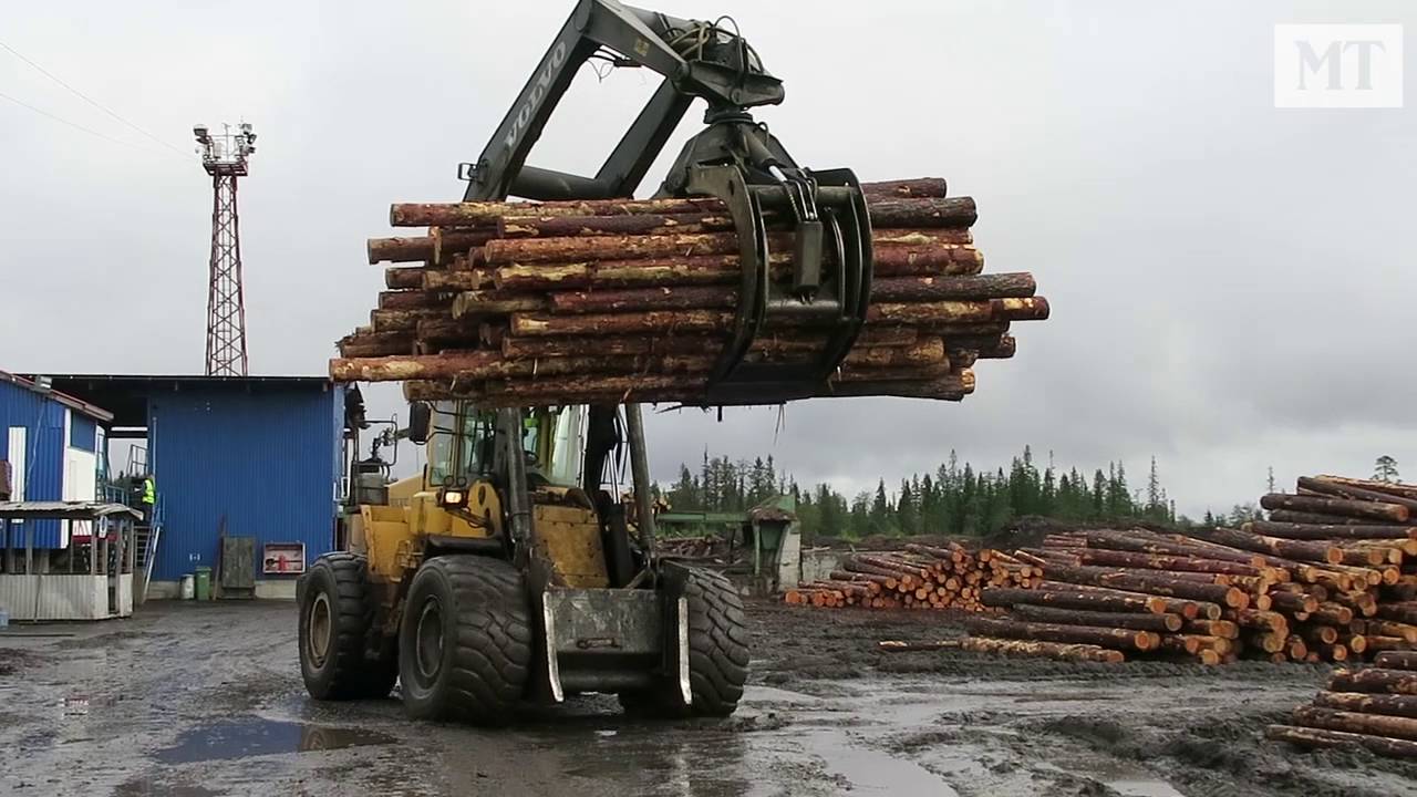 Tällaista on metsätalous Venäjän Kostamuksessa - MT vieraili venäläisellä sahalla