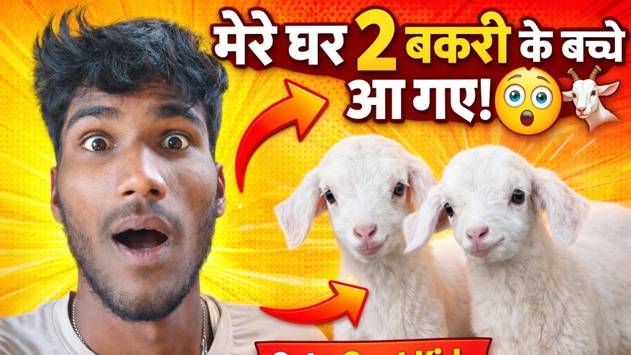 Meri Bakri Ne do cute bacche diye Hain 