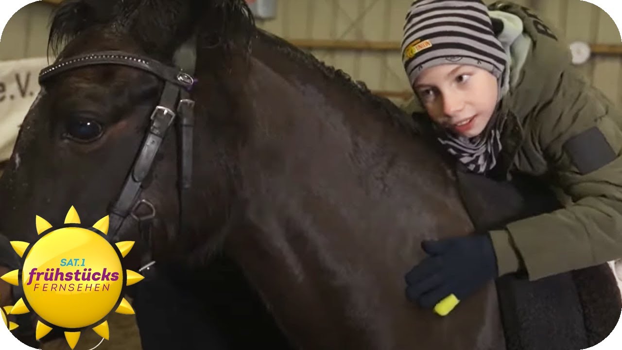 Pferde als Therapeuten - so hilft ein Pferd einem 11-Jährigen | SAT.1 Frühstücksfernsehen