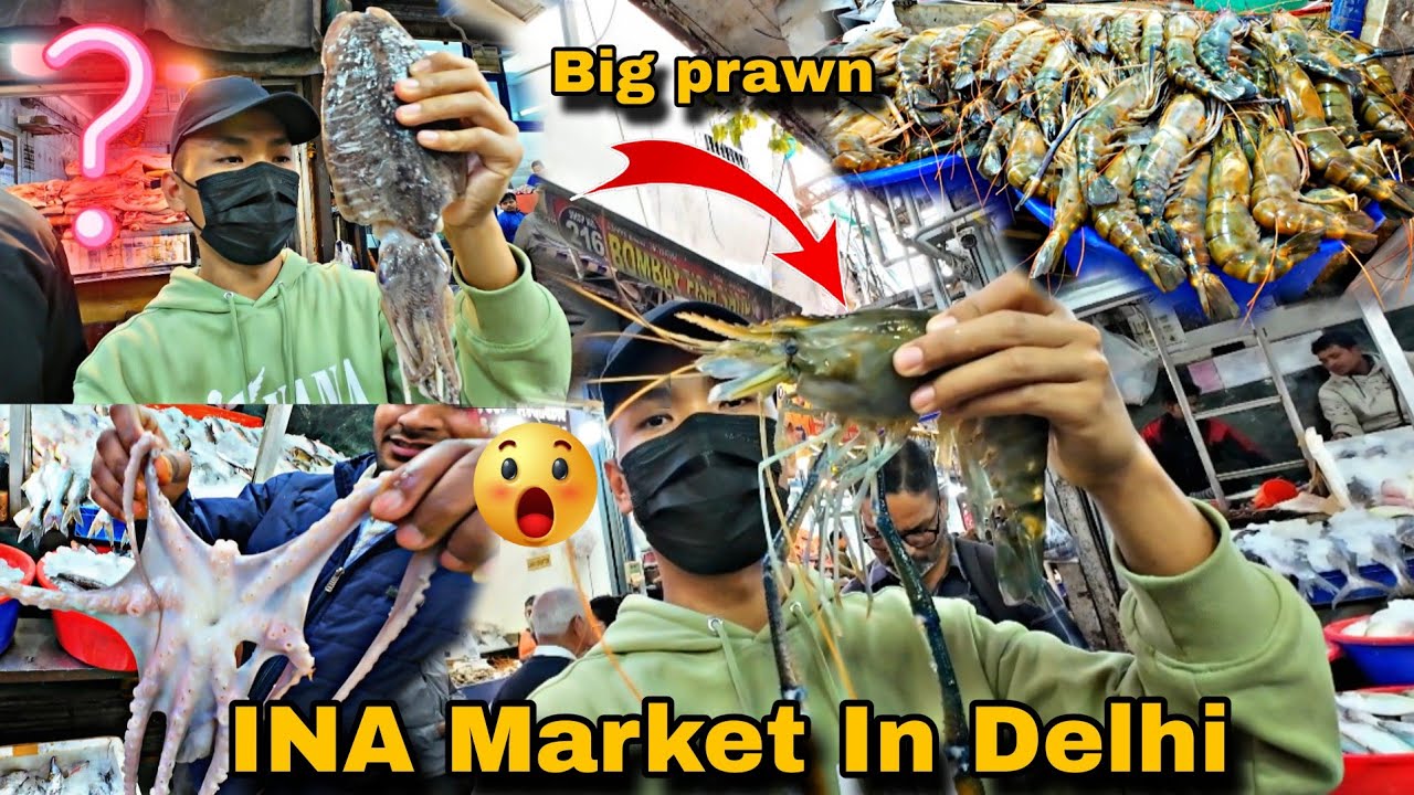 INA Market In Delhi | Exploring Delhi Ina Market | Seafood🦐🐙Market Delhi | @TheRakeshVlogs123 