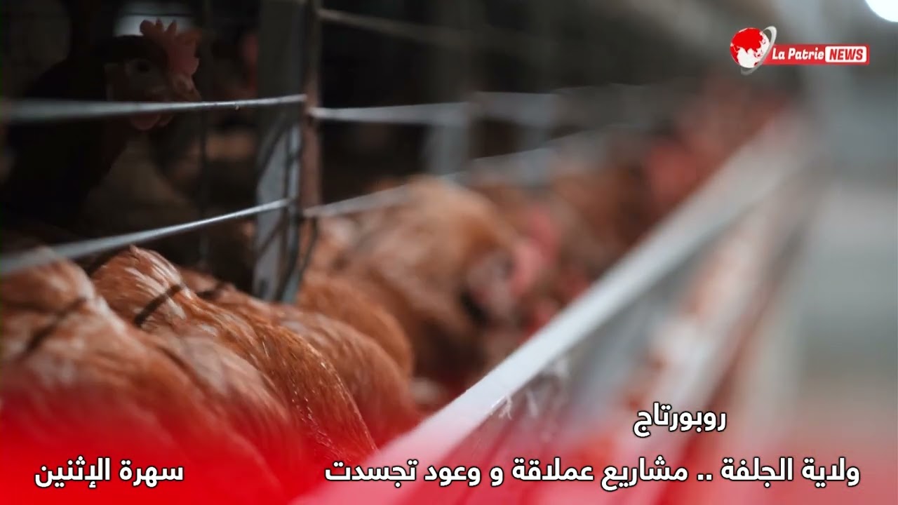 الجلفة ..مشاريع عملاقة ووعود تجسدت على أرض الواقع ..تشاهدون روبورتاج عن الولاية سهرة الغد