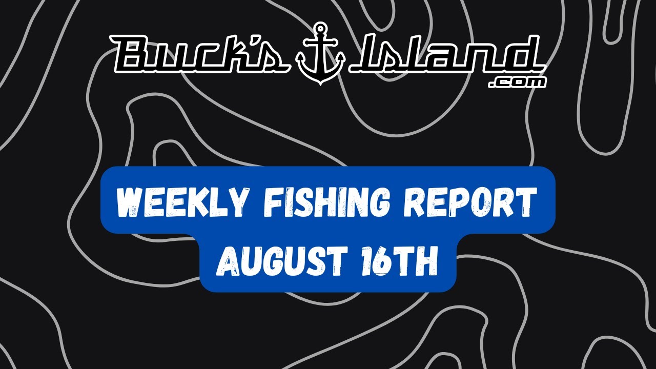 Fishing Report-August 16th- Neely Henry, Weiss, Logan Martin,Lay, Guntersville,Lake Martin,Jordan