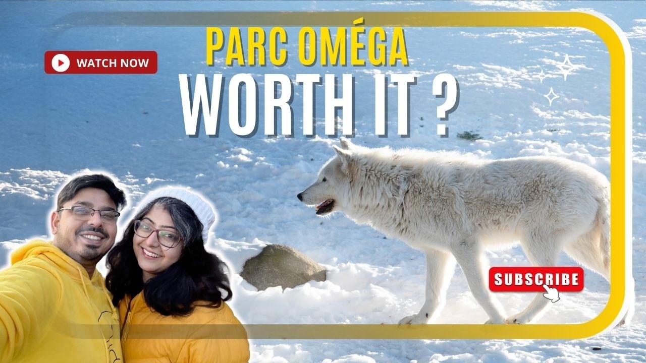 Parc Omega Safari Guide: Essential Tips & Winter Road Trip from Toronto