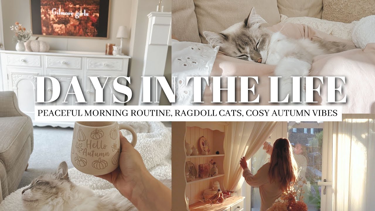 Days In The Life | peaceful mornings, autumn b&m haul & a cosy afternoon with my ragdoll cats,