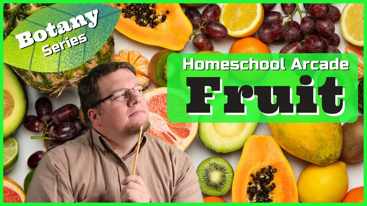 Fruits | Purpose & Types of Fruit